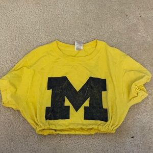 University of Michigan tailgating top